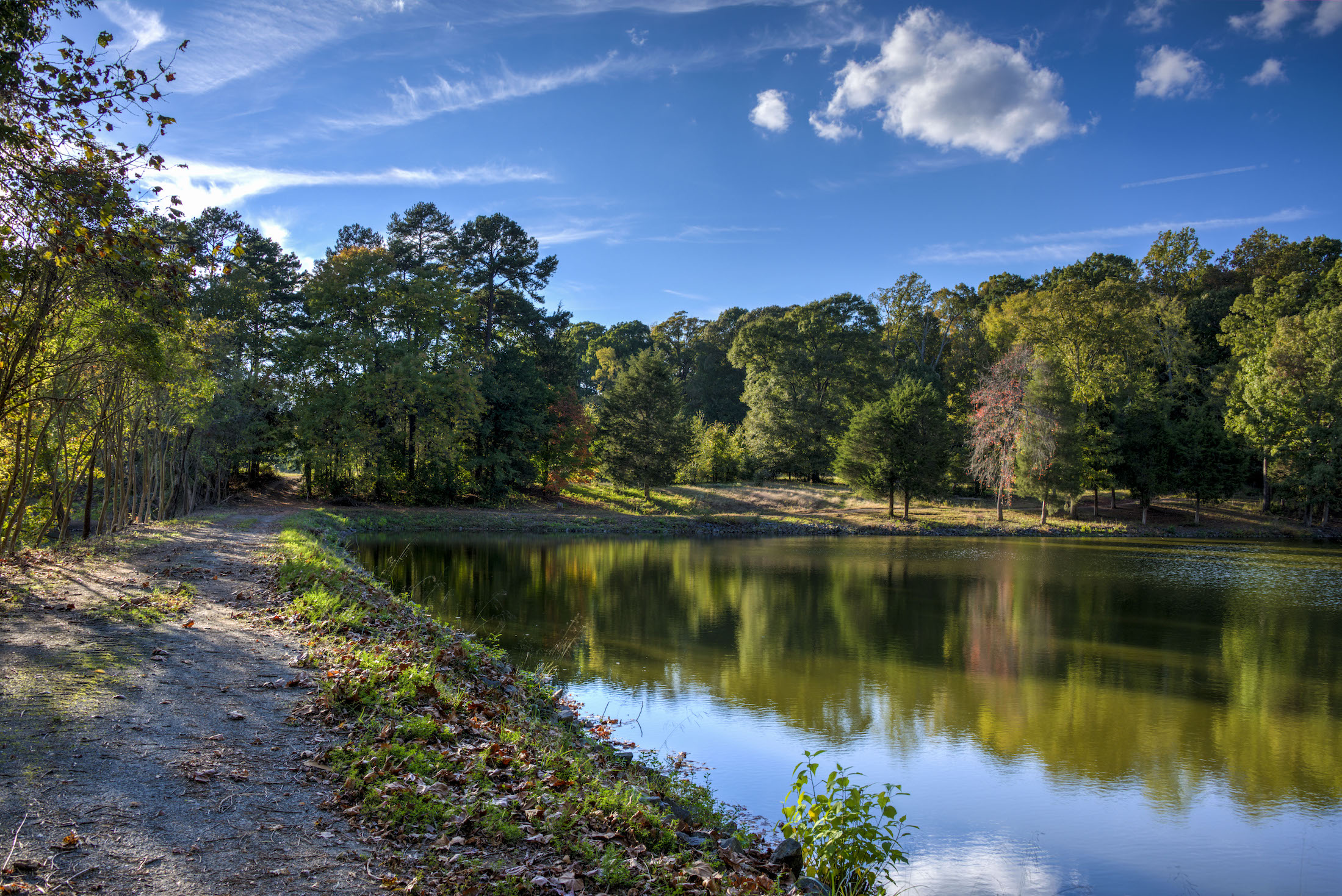 lakeside view