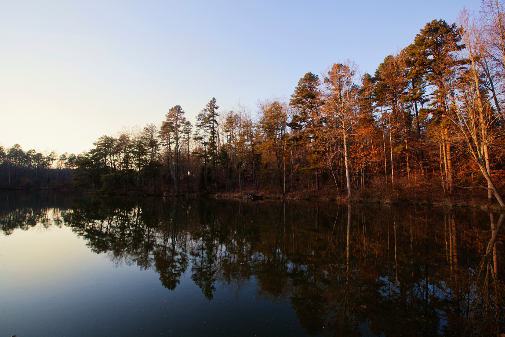 autumnal view of lake norman waters
