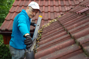 inspect your gutters during the wintertime