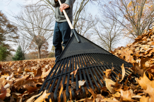 raking is a key part of maintaining your home during the fall time