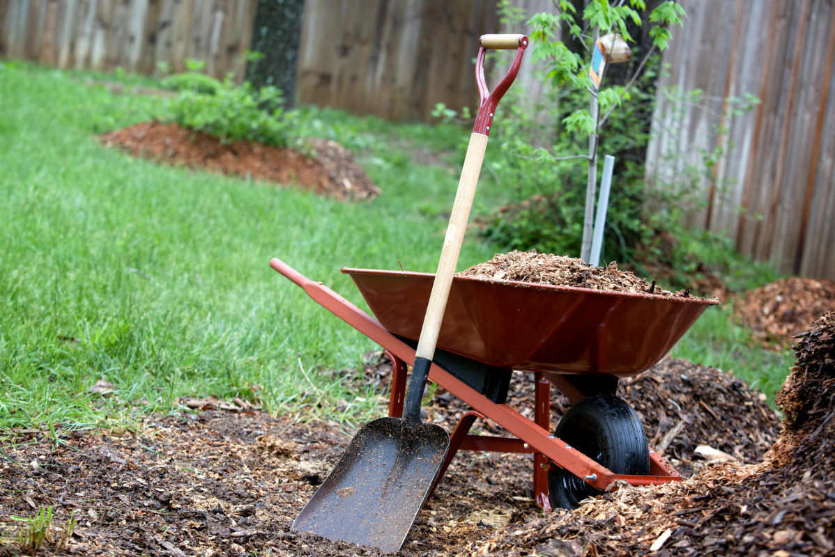 ensure spring seasonal maintenance by completing landscape