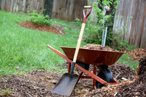 ensure spring seasonal maintenance by completing landscape