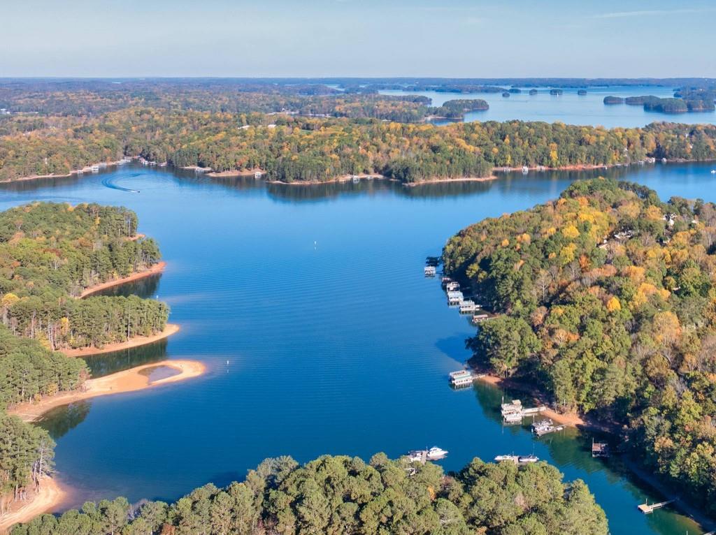Lake Lanier aerial
